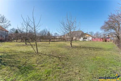 Sediu firma/ rezidential, pe domeniu de 2.240 mp teren,Central, Halchiu, Brasov - foto 20