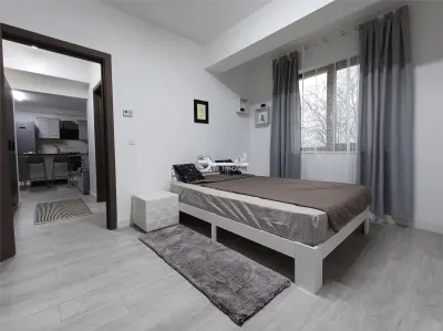 Apartament 2 camere, prima chirie, parcare și 2 balcoane â€“ Tătărași - foto 11