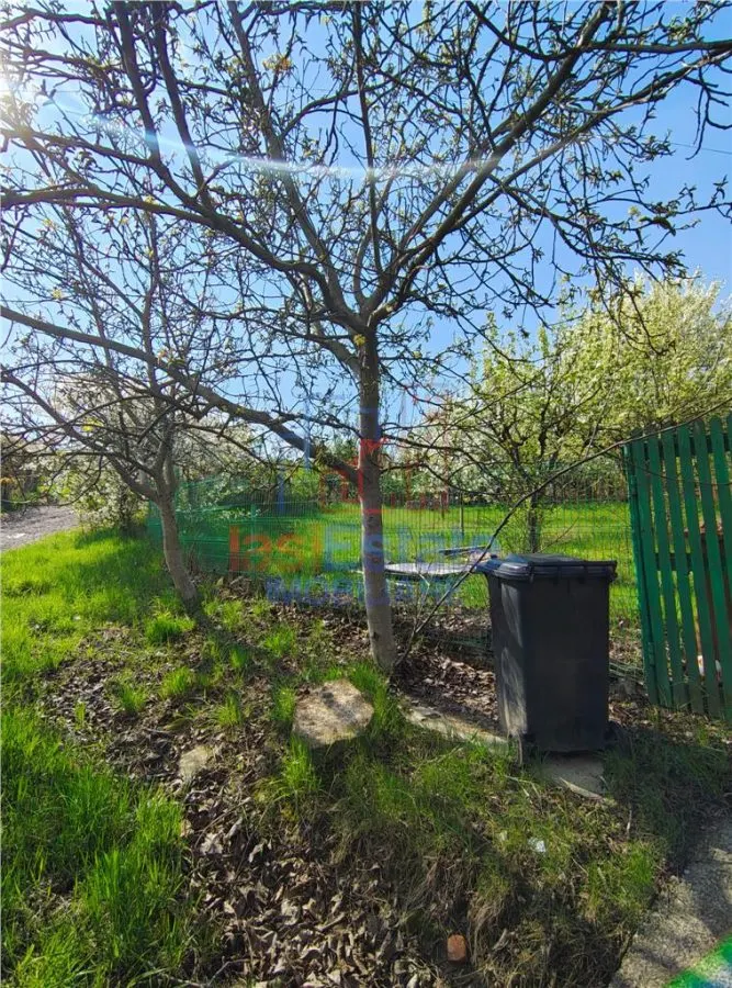 UAT Iasi - Trecatoarea Paun - ideal pentru casa - Bucium 750mp - foto 3