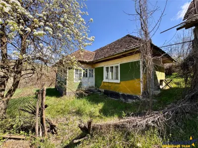 Casa traditionala,zona pitoreasca,domeniu de 3.400 mp,Suveica,Acatari,Mures - foto 17