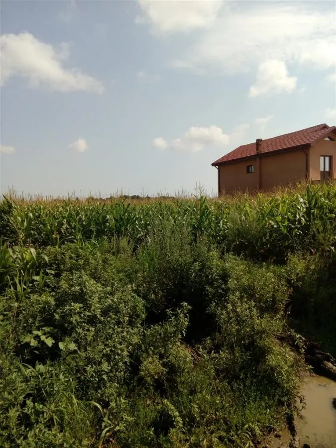 Teren, Zapodia,Traian Bacau - foto 3