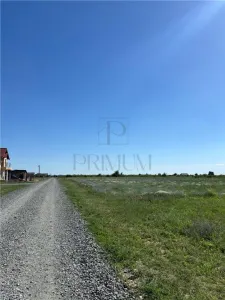 Doua Terenuri, Mosnita Veche, 799/ 712 mp - Mosnita Veche