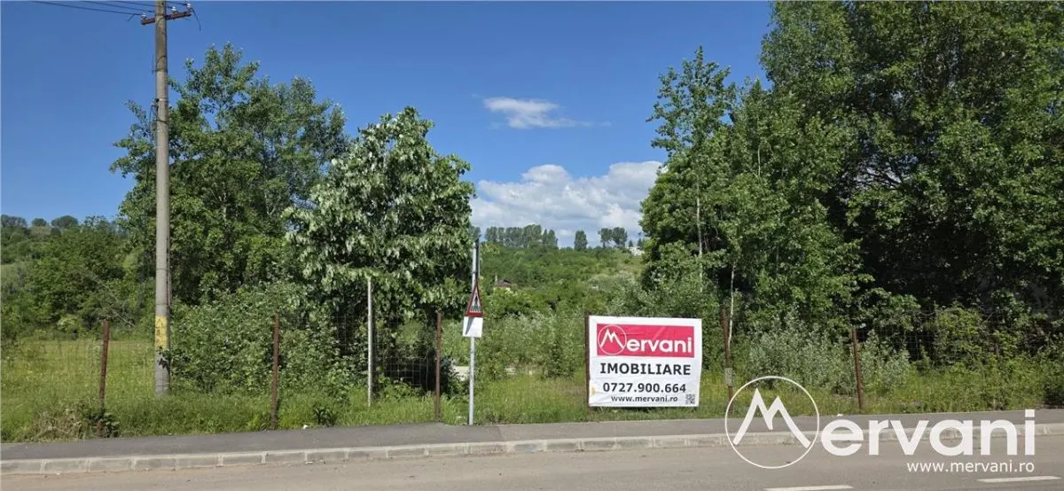 Teren intravila 40.679 mp in Campina - foto 1