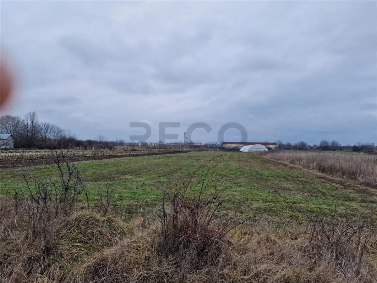 RECO Teren intravilan in Bors cu front mare - foto 2