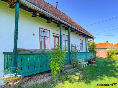 FILM! Proprietate traditionala,de poveste,cu 3.000 mp teren intravilan,Zagon,Covasna - foto 9