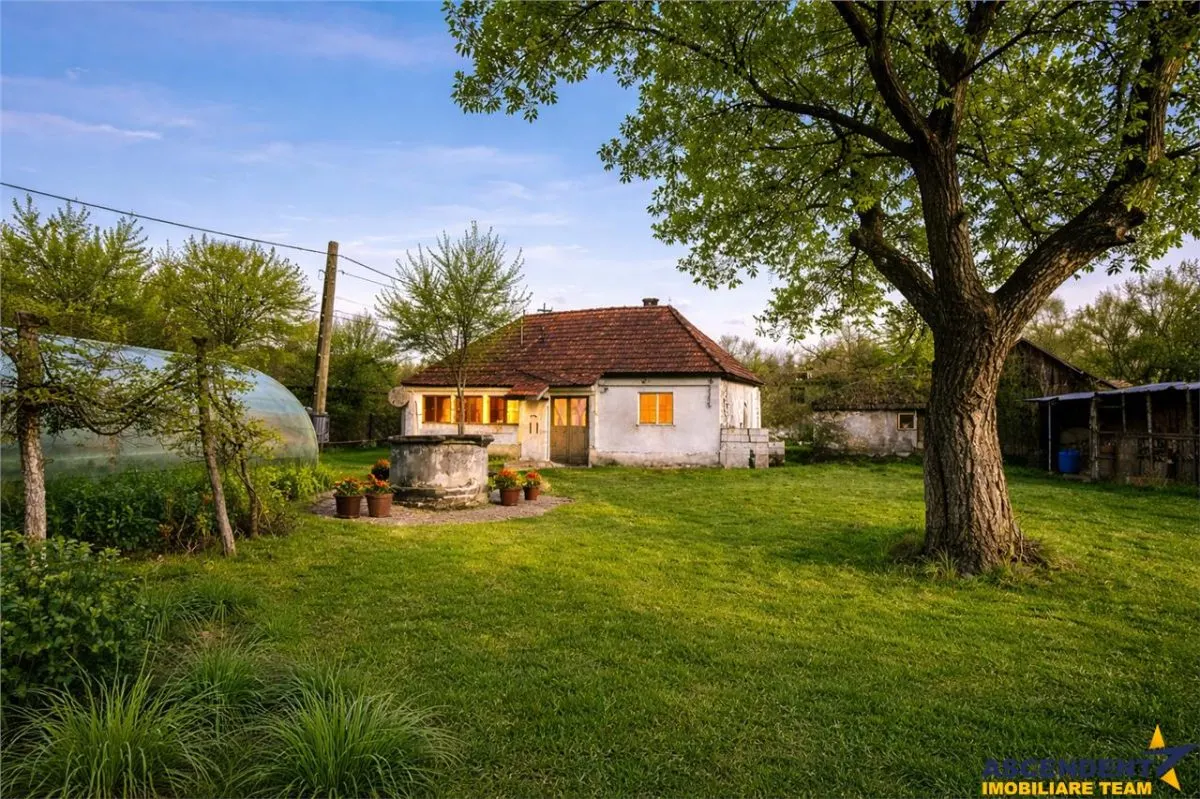 FILM! Casa cu sura, pivnita, balta cu pesti, 2.280 mp teren roditor, Lemnia, Covasna - foto 7