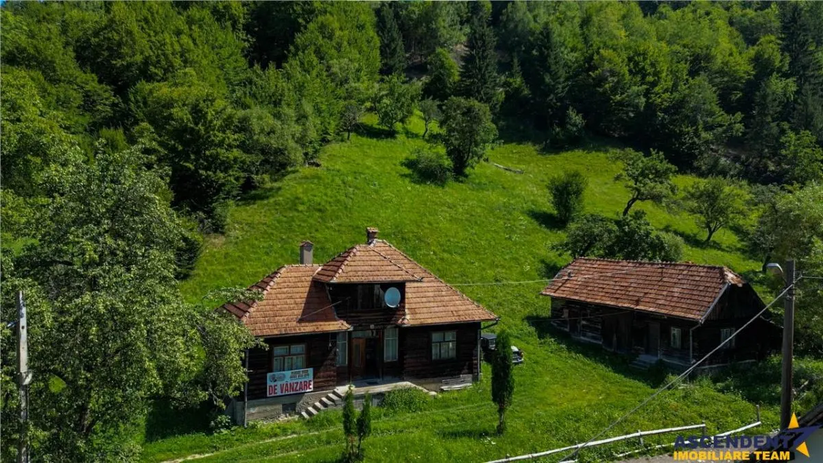 FILM! Proprietate autentica, Bran-Simon, 4.300 mp teren, casa traditionala + anexe - foto 19