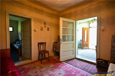 FILM! Proprietate autentica, Bran-Simon, 4.300 mp teren, casa traditionala + anexe - foto 9