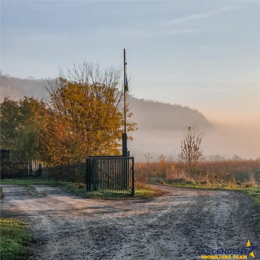Transilvania Camping, domeniu de 14.400mp,Sanmarghita de Mures:2cladiri, apartamente,potential exceptional - foto 21
