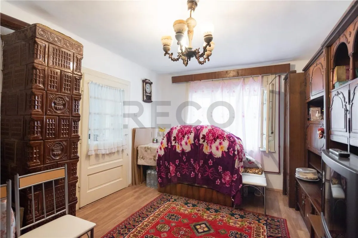 RECO Teren mare cu 2 case si front la 2 strazi in Tamaseu - foto 12
