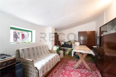 RECO Teren mare cu 2 case si front la 2 strazi in Tamaseu - foto 20
