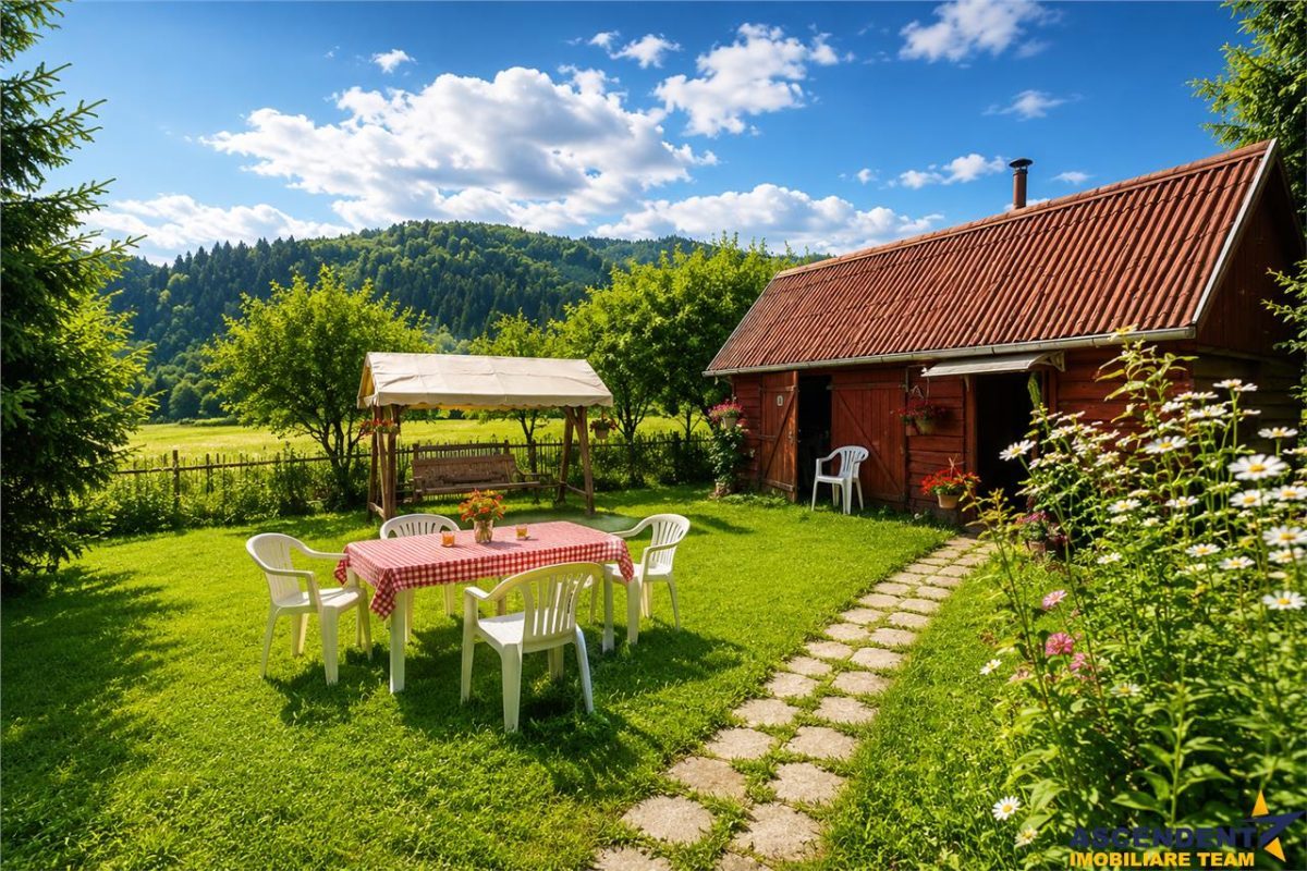 FILM &Tur LIVE! Casa de vacanta, intr- o ariere admirabila, Lunca Bradului, Mures - Lunca Bradului