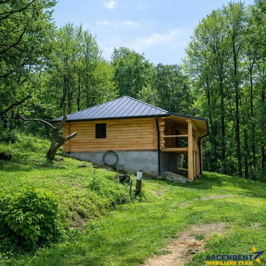 OFERTA REZERVATA!!3.000mp de incantare montana cu cabana din lemn masiv, Zarnesti Tohanita - foto 11